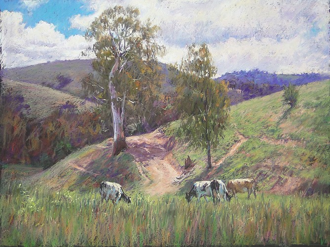 Grazing Cattle Near Eildon - Pastel Painting