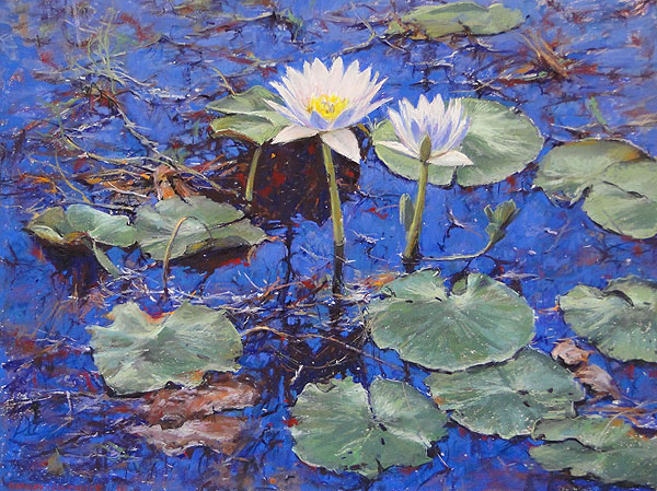 Mamukala Wetlands -Kakadu - Pastel Painting 46x51cm SOLD