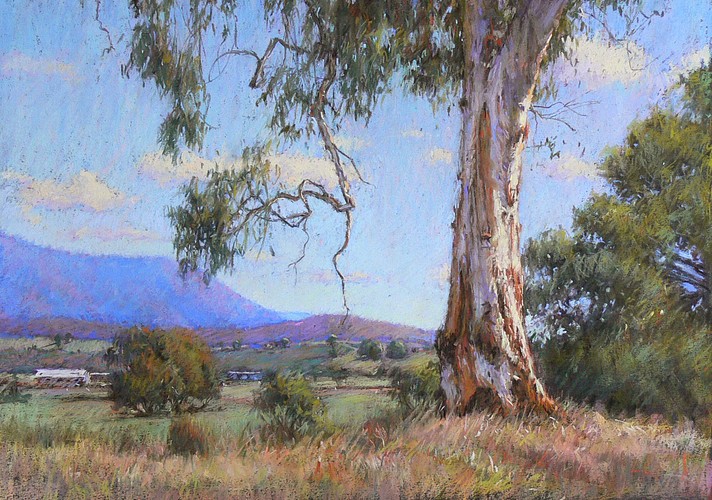 Roadside Gum Taggerty Victoria - Pastel Painting