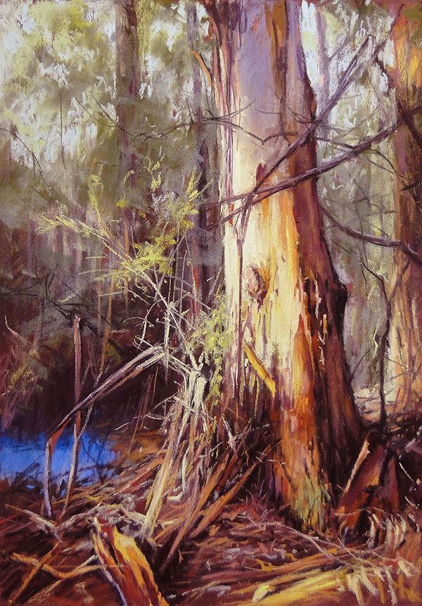 Spotlight On The Bush - Pastel Painting