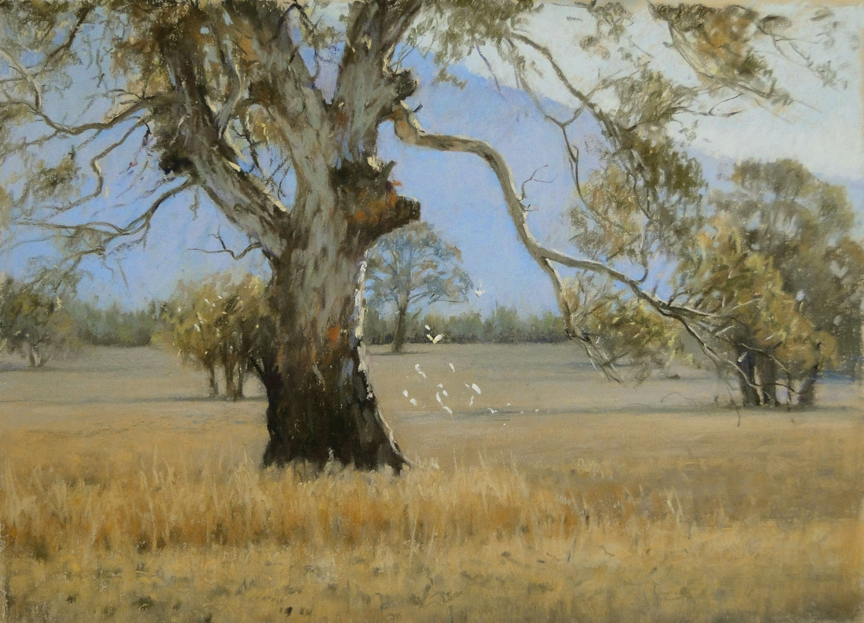 Pastel Paintings – BARBARA BEASLEY-SOUTHGATE